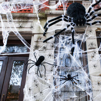 Halloween Skelett 5 Figuren Spinnen Dekoration Spinnennetz Deko
