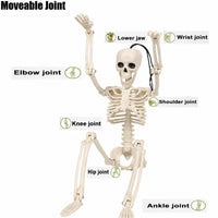 Halloween Skelett 5 Figuren Spinnen Dekoration Spinnennetz Deko
