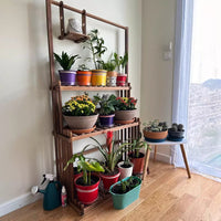 Blumenständer Pflanzenregal Pflanzentreppe Holzregal Aufhängestange 145cm