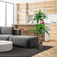 Kunstpflanze Dracena Zimmerpflanze Palme Drachenbaum Topf
