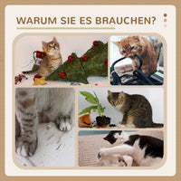 Kratzbaum 42cm Katzenbaum Jute-Kratzpfosten Plattform Spielbälle