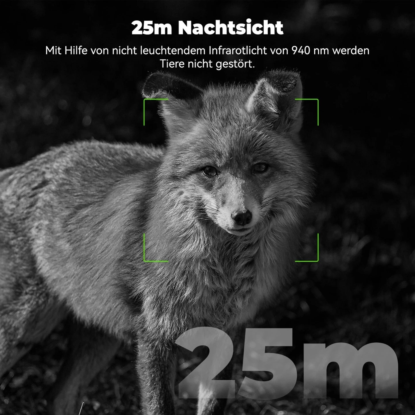 4G LTE Wildkamera Handyübertragung APP 27K Solar SIM Karte 64GB Nachtsicht